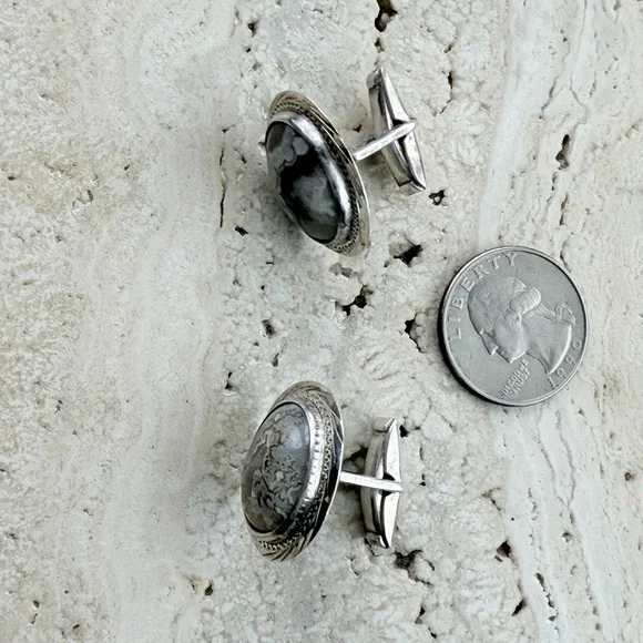 Elegant Silver and Gray Stone Earrings